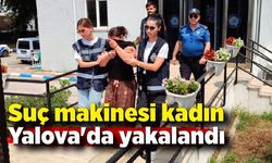 Suç makinesi kadın hırsız Yalova'da yakalandı