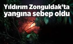 Yıldırım Zonguldak’ta yangına sebep oldu