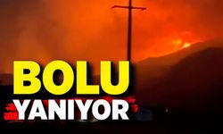 Bolu’da orman yangını 12 saattir devam ediyor