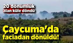 Çaycuma'da faciadan dönüldü! Serdaroğlu Köyü'nde çıkan örtü yangını korkuttu!