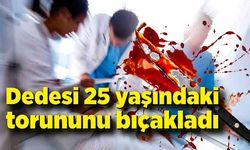 Dedesi 25 yaşındaki torununu bıçakladı