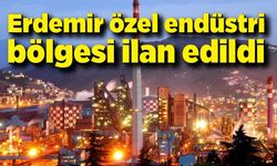 Erdemir özel endüstri bölgesi ilan edildi