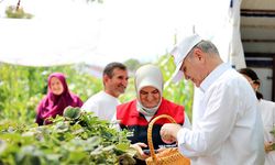 Topraksız tarım ile çilek üretiyor