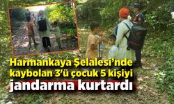 Harmankaya Şelalesi'nde kaybolan 3'ü çocuk 5 kişiyi jandarma kurtardı