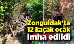 Zonguldak'ta 12 kaçak ocak imha edildi