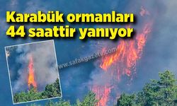 Karabük'teki orman yangını 44 saati aştı