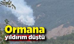 Karabük'te düşen yıldırım orman yangını çıkardı