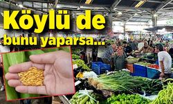 Köylü de bunu yaparsa…