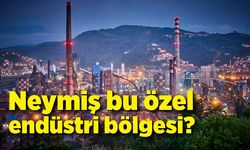 Neymiş bu özel endüstri bölgesi?