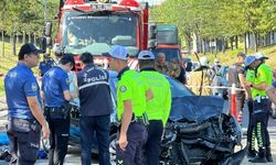 Ailesiyle piknik yapmak için durduğu yol kenarında hayatını kaybetti