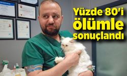 Veteriner Gökmen Koç; Yüzde 80'i ölümle sonuçlandı