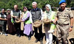 Safranbolu safranına Orköy desteği