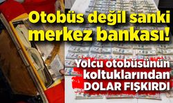 Yolcu otobüsü değil merkez bankası! Koltuklarından dolar fışkırdı...