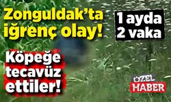 Zonguldak’ta köpeğe tecavüz ettiler! 1 ayda iki vaka!