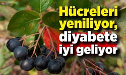 Hücreleri yeniliyor, diyabete iyi geliyor şimdi pazar arıyor