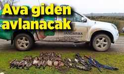 Ava giden avlanacak