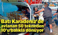 Batı Karadeniz'de avlanan 50 tekneden 10'u balıkla dönüyor