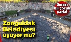 Burası bir çocuk parkı! Zonguldak Belediyesi uyuyor mu?