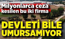 Milyonlarca ceza kesilen bu iki firma devleti bile umursamıyor