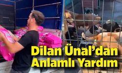 Almanya'dan Sokak Hayvanlarına Destek: Dilan Ünal’dan Anlamlı Yardım