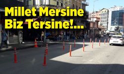 Millet Mersine, Biz Tersine