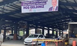 Kestane üreticilerinin yeni mekanı Hamidiye Pazaryeri