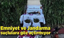 Emniyet ve Jandarma suçlulara göz açtırmıyor