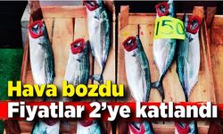 Hava bozdu palamutta fiyat arttı