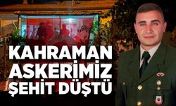 Afyonkarahisar'a şehit ateşi düştü