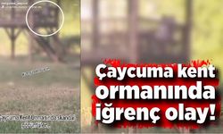 Çaycuma Kent Ormanında iğrenç olay!