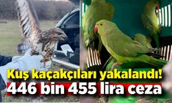 Kuş kaçakçıları yakalandı: 446 bin 455 lira para cezası