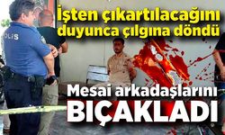 İşten çıkartılacağını duyunca çılgına döndü, mesai arkadaşlarını bıçakladı