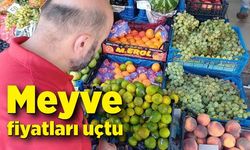 Meyve fiyatları uçtu