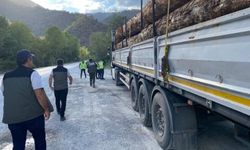 Zonguldak Orman Bölge Müdürlüğü'nden Orman Koruma Denetimi