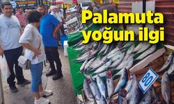 Palamut irileştikçe fiyatı da artıyor