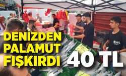 Palamut 40 liraya düştü, vatandaşlar ucuz balığa hücum etti