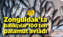 Zonguldak'ta balıkçılar dört günde 100 ton palamut avladı