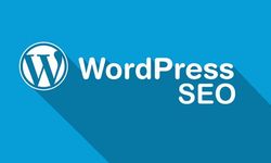 WordPress SEO Nedir?