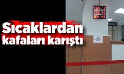 Sıcaklardan kafaları karıştı