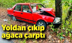 Ağaca çarpan otomobildeki 2 kişi yaralandı