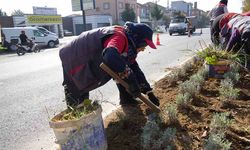 Mevsime uygun bakım çalışmaları yapılıyor