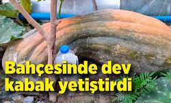 Bahçesinde yetişen kabağı görünce şaşkınlığını gizleyemedi