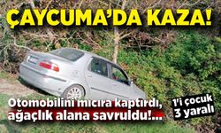 Çaycuma'da kaza! Otomobilini mıcıra kaptırdı, ağaçlık alana savruldu