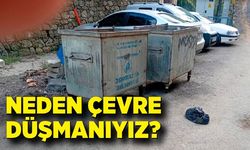 Neden çevre düşmanıyız?