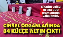 Cinsel organlarında taşıdıkları 84 adet  külçe altınlarla yakalandılar: