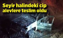 Seyir halindeki cip alevlere teslim oldu