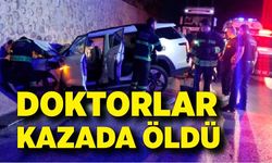 Korkunç kaza; Doktorlar kazada öldü