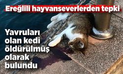 Ereğlili hayvanseverler ayaklandı