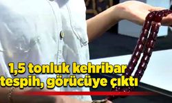 1,5 tonluk kehribar tespih, görücüye çıktı