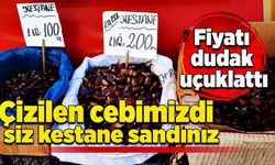 Çizilen cebimizdi siz kestane sandınız: Fiyatı dudak uçuklattı